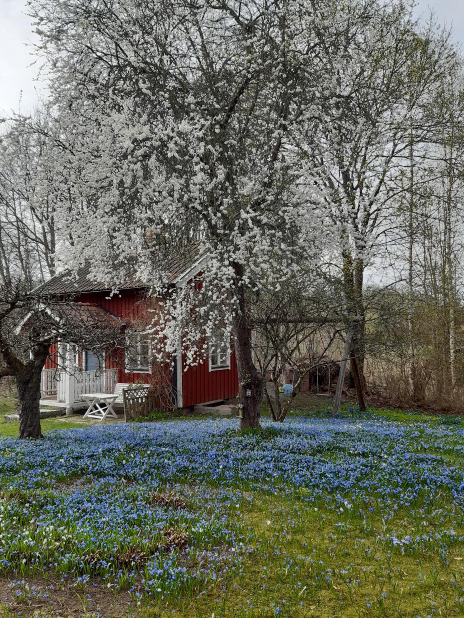 Roeda Stugan Pa Slinken Sala Luaran gambar